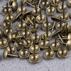 100 Pcs Decorative Tack Nail Decoration Round Head Tacks Furniture Nails