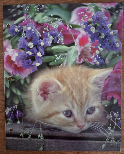 Lot of 6 Vintage 90's Pocket Folders for 3 Ring Notebooks Cats Kittens Flowers - Picture 12 of 19