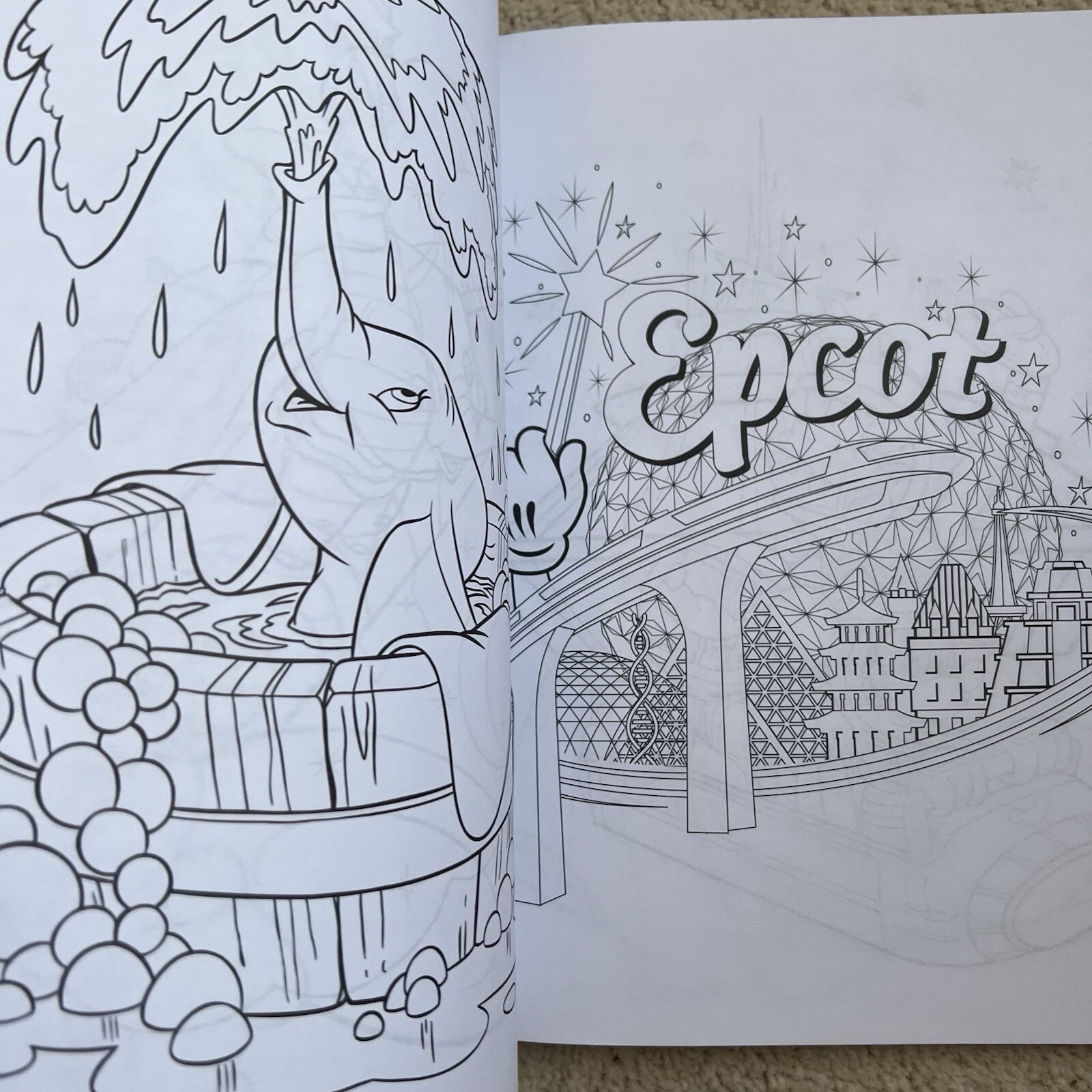 Picture 5 of 8