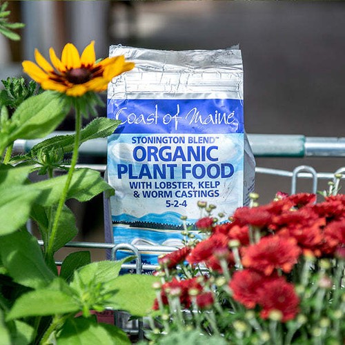 Coast of Maine Stonington Blend Organic Plant Food - 4lb - Foto 2 di 2