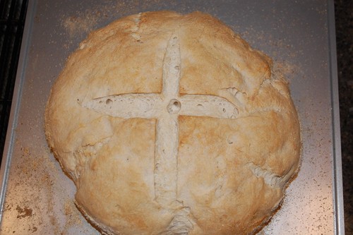 authentic SOURDOUGH STARTER yeast San Francisco BEAST+ RECIPES10 starters in 1 d - Picture 6 of 6
