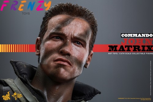 New Hot Toys 1/6 MMS276 Commando:John Matrix - Picture 14 of 15