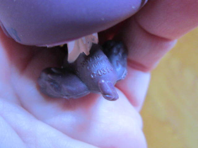 Picture 5 of 8