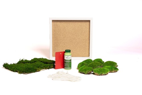DIY Set Moosbild Geschenkidee Wandbild selber machen kleben Oster Dekoration - Bild 19 von 29
