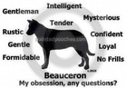 Beauceron Dog My Obsession, Any Questions? T-shirt Choices