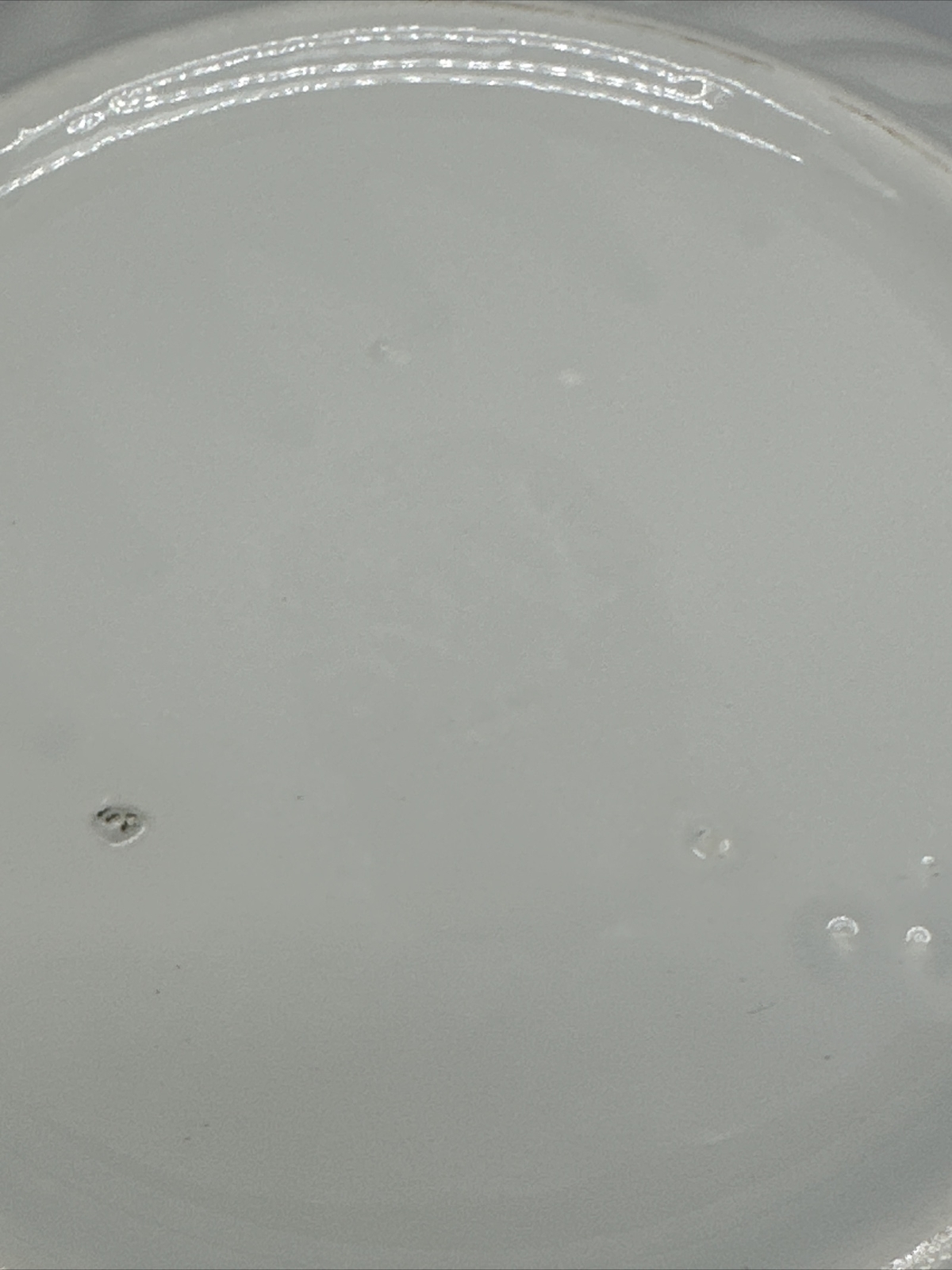 Picture 12 of 12