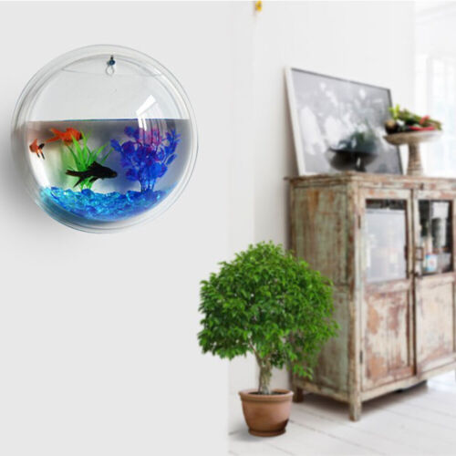 Wall Hanging Plant Bowl Durable Fish Tank Aquarium Viewable for Indoor Furniture - Picture 4 of 13