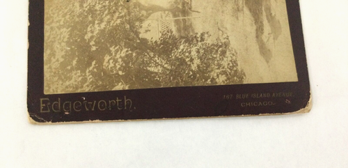 Antique Horse & Buggy Photograph of a Couple Chicago Edgeworth 8.5" - Picture 4 of 13