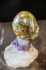 stone Crystal Mushroom, Morocco Coral Fossil, Quartz Stem, Agate Base, Amethysts