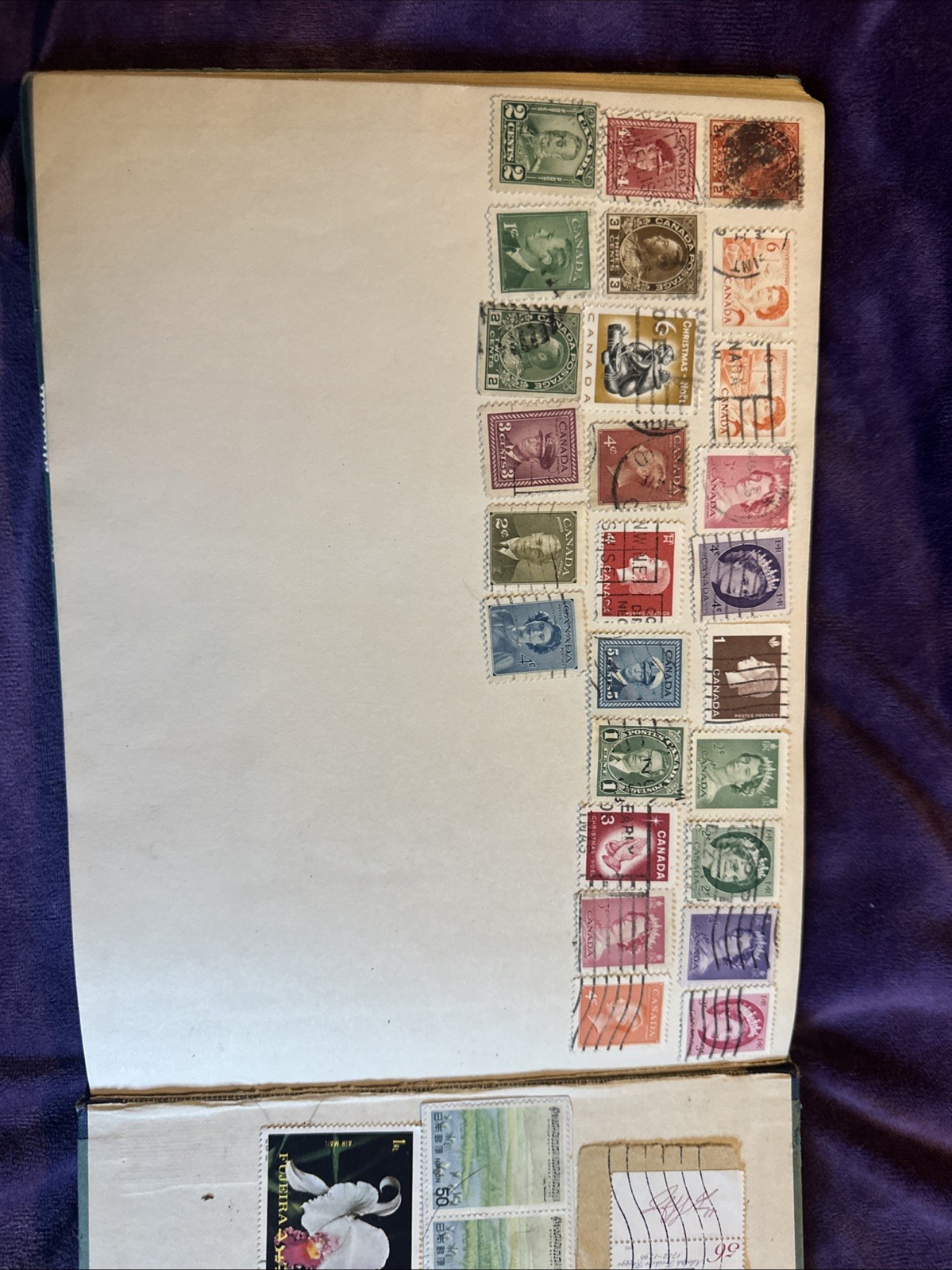 Picture 20 of 20