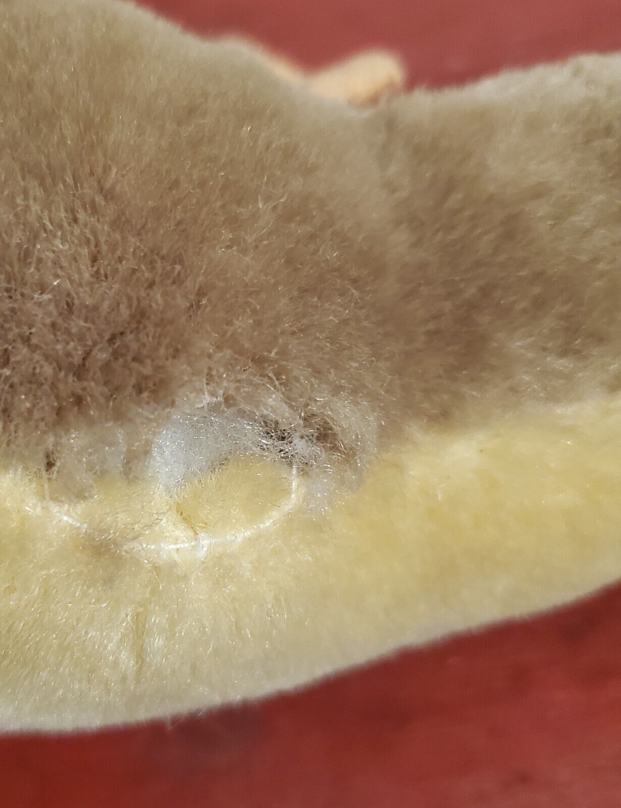 Bild 6 von 8