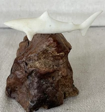 John Perry Original White Shark Sculpture Burlwood Words Written on Bottom