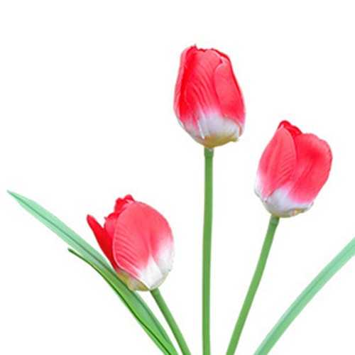Outdoor Solar Tulip Flower LED Stake Light 3 Branches Easy Installation Solar - Picture 9 of 12