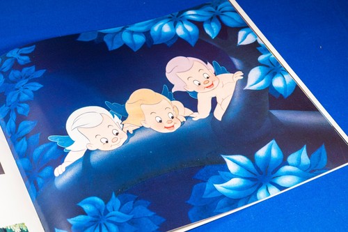 FANTASIA di Walt Disney edizione commemorativa VHS, CD, Litografia, Libretto. - Foto 9 di 24