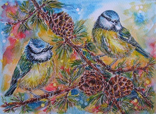 Tarjeta ACEO PRINT TIT AZUL dulces pájaros animales vida silvestre miniatura NATURALEZA EMMA - Imagen 1 de 4