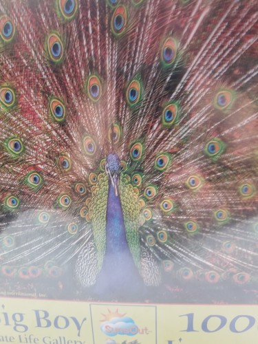 New 1000 Piece Puzzle The Big Boy 19" X 30" Peacock Eco Friendly Sunsout USA - Picture 5 of 7