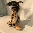 Foto 8 di 19