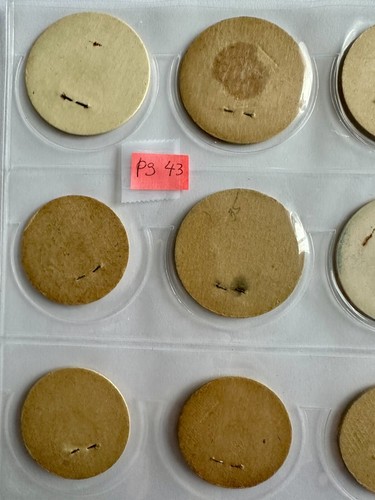 Vintage verschiedene Milchflaschenverschlüsse Posten 20 Stück - Bild 8 von 12