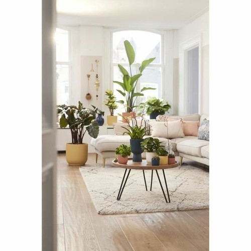 Plant pot Elho Ø 25 cm Circular Dark blue Plastic - Imagen 6 de 6