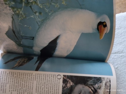 National Geographic Magazine Jan 1988 100 Years Centennial year - Bild 9 von 11