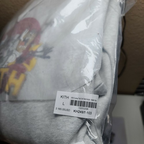 Felpa con cappuccio Kith x Looney Tunes That's All Folks grigio erica. Taglia L - Foto 4 di 6