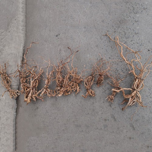 1Bunch Natural Driftwood Root Trunk Aquarium Ornament Fish Tank Landscape Random - Picture 4 of 8