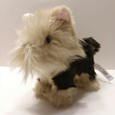 american girl terrier puppy