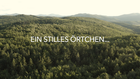 Video 1 von 1