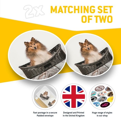 2 x Vinyl Stickers 20cm - Long Haired Sheltie Dog #45611 - Bild 2 von 8