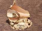 Old Gettysburg Civil War Souvenir - Shell Sculpture Paperweight