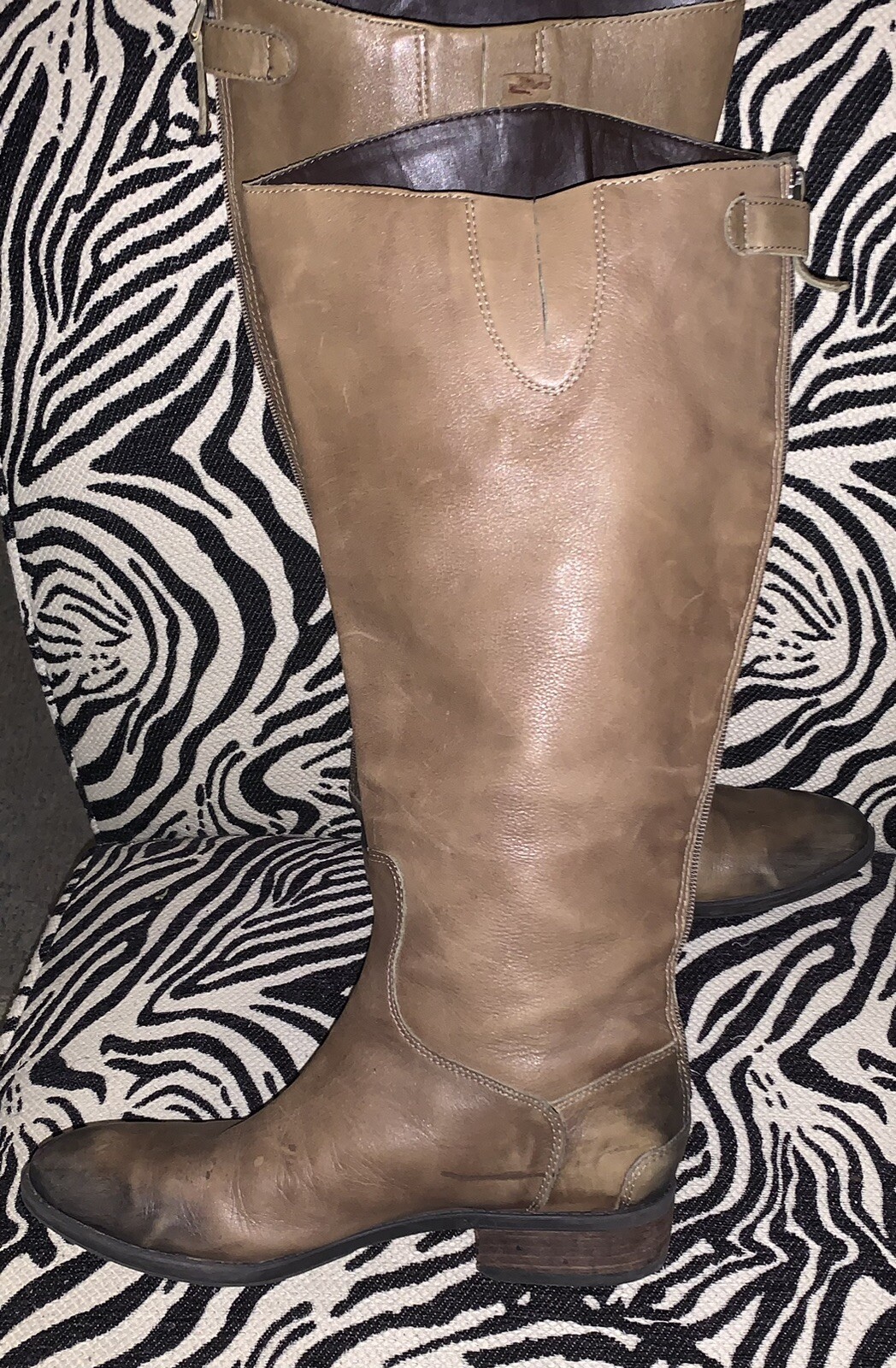 Picture 9 of 24