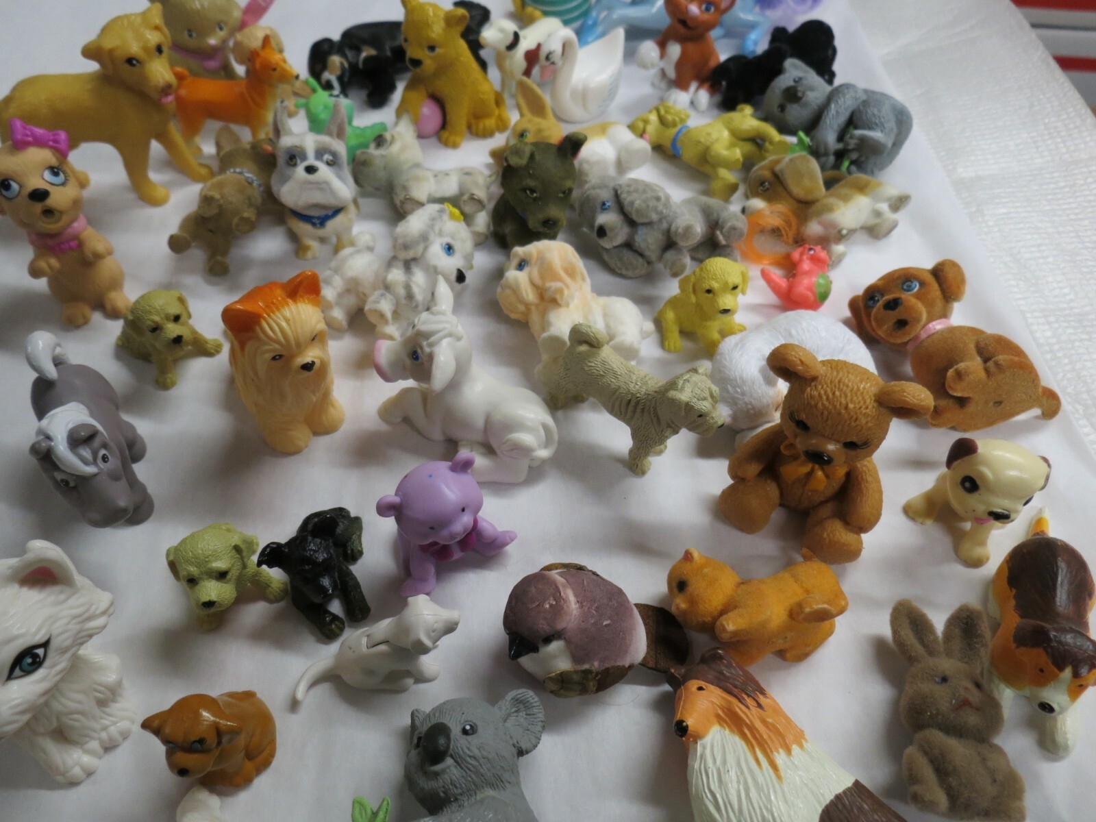 Bild 4 von 6