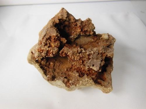 Fossile Achat Koralle Druzy / aus Missouri / 6,75 Unzen / siehe Details - Bild 8 von 19