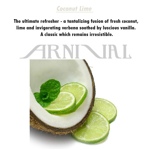 HIGHLY SCENTED 100% NATURAL SOY WAX CANDLE 30 hr burn time CHOOSE FROM 59 SCENTS - Picture 18 of 40