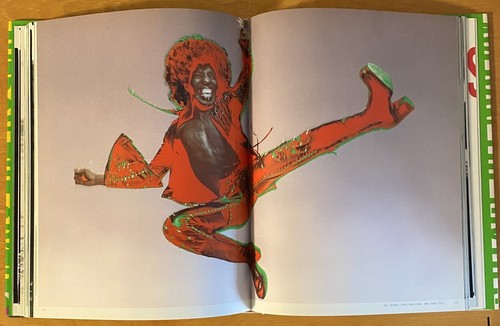 AVEDON the sixties (HC Erstausgabe) - Bild 11 von 20