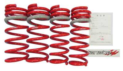 Tanabe GENUINE OEM Coil Springs NF210 Toyota Rav4 A25A-FXS