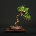Foto 2 di 7