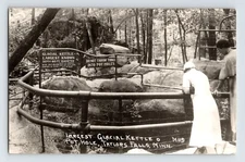 Postcard RPPC Minnesota Taylors Falls MN Glacial Kettle Pot Hole 1953 Posted