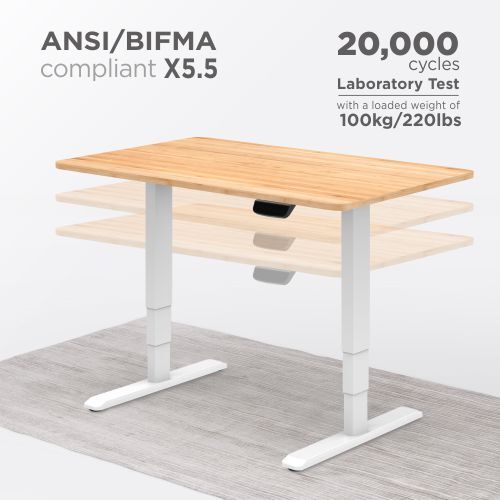 Electric Height Adjustable Sit Standing Desk Frame Dual Motor 120KG Heavy Duty - Picture 10 of 12
