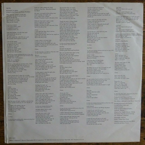 WILD CHOIR - 1986 VINYL LP. AEL1-5810. ( USA ) - Bild 6 von 6