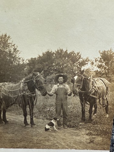 Antique RPPC Postcard Photo Farmer Dog Horses Nowata Oklahoma 1910 - Picture 7 of 7