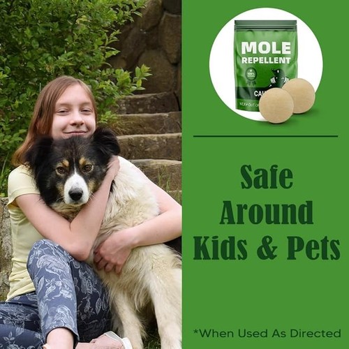 Mole Repellent Outdoor Mole Deterrent Mole Repellent for Lawns/Yards/Gardens - Bild 3 von 6