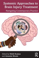 Systemic Approaches To Brain Injury Treatment Navigating Contemporary Practice