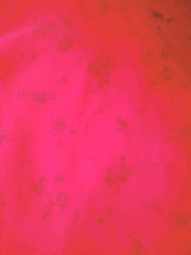 Hollister Red Floral Sweetheart Neckline Above The Knee Dress Girls Size S - Bild 8 von 9