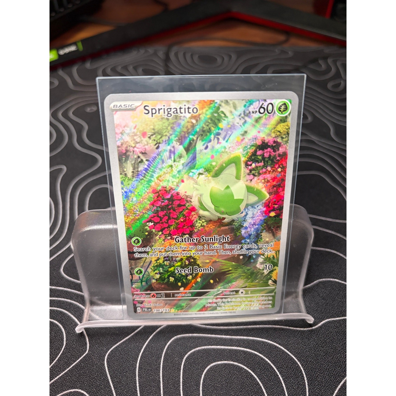 Sprigatito 196/193 Illustration Rare SV02: Paldea Evolved Pokemon TCG NM