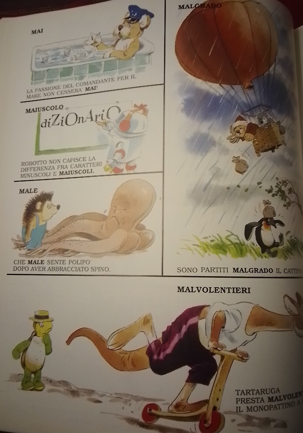 Bild 8 von 11