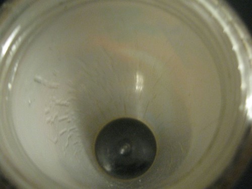 Raro vaso de acrílico Starbucks 2008 colibrí mariposa rana plástico aislado - Imagen 7 de 7