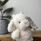 Bild 3 von 8