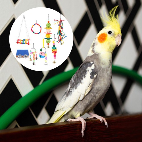 Le plus cher 8 PCS/Set Vogel Papagei Schaukel Kauspielzeug Für Nymphensittiche