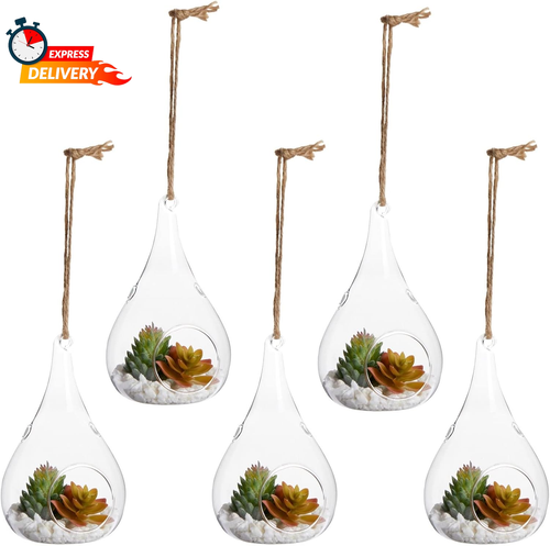 5-Pack Hanging Glass Terrarium Containers - Air Plant Holder, Succulent Planter,